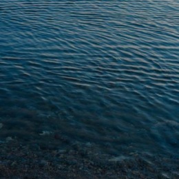 a body of water